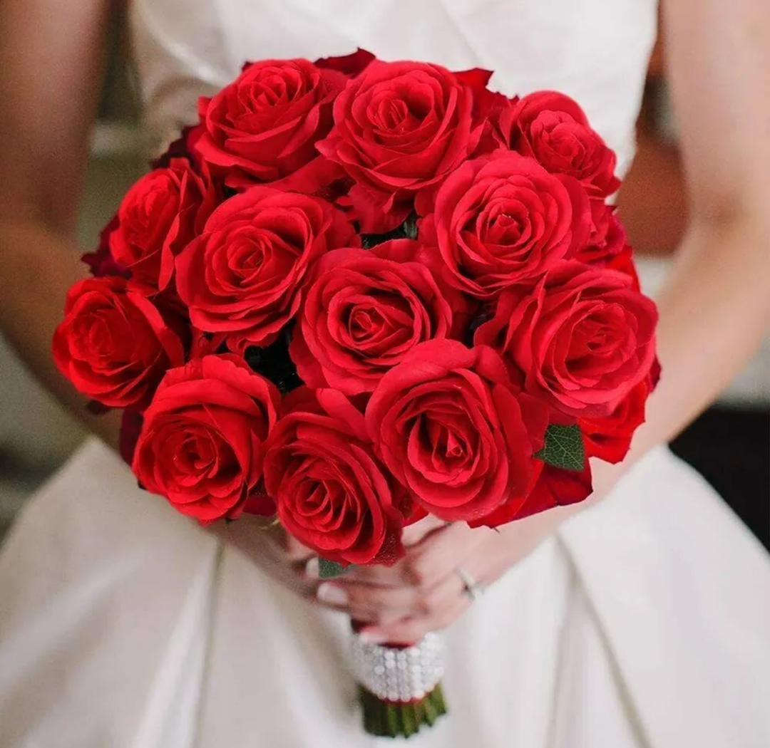 WhatsApp-Image-2024-07-19-at-18.27.17_f35d7233